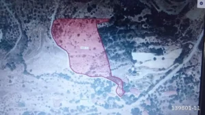 1741268102592 44290137