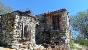 1742908928488 44290137