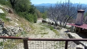 1742908928589 44290137