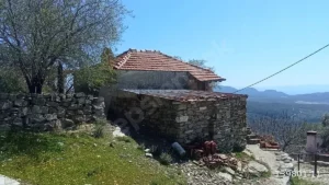 1742908928647 44290137