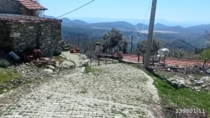 1742908928720 44290137