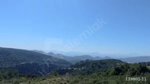 1742908928860 44290137