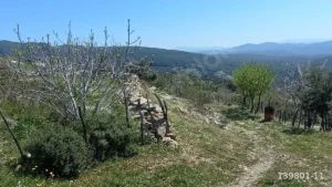 1742908929122 44290137