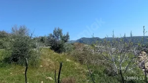 1742908929205 44290137