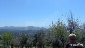 1742908929276 44290137