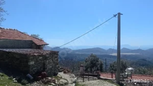 1742908929414 44290137