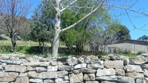 1742908929531 44290137