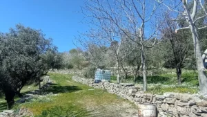 1742908929615 44290137